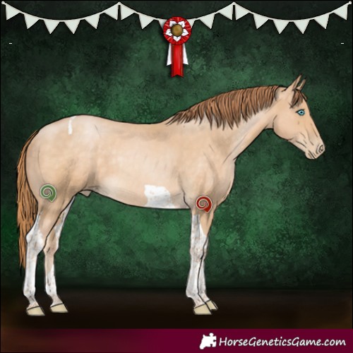 Horse Color:Buckskin Pearl Tobiano Rabicano 