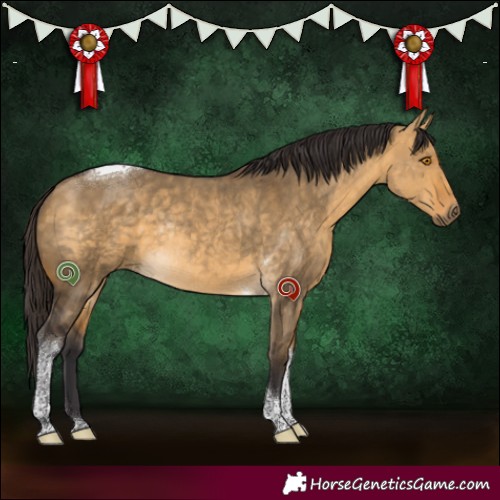 Horse Color:Buckskin Dun Tobiano Rabicano 