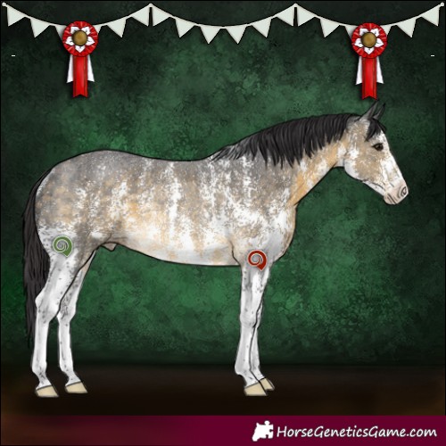 Horse Color:Buckskin Sabino Rabicano 