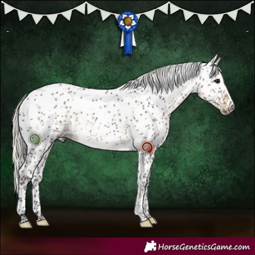 Horse Color:Silver Smoky Black Sabino 