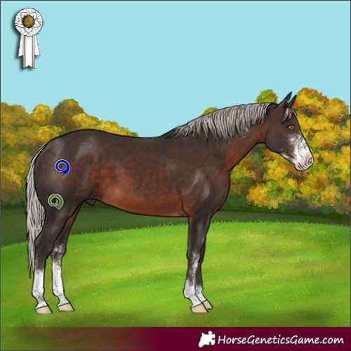 Horse Color:Silver Brown Sabino 