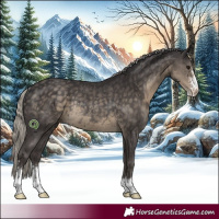 Horse Color:Silver Smoky Black Sabino Rabicano 