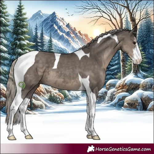 Horse Color:White Spotted Silver Smoky Grullo Tobiano 
