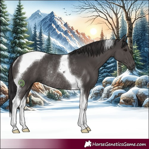 Horse Color:Smoky Black Tobiano Rabicano 