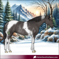 Horse Color:Smoky Black Tobiano Rabicano