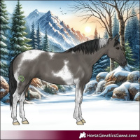 Horse Color:Grullo Tobiano