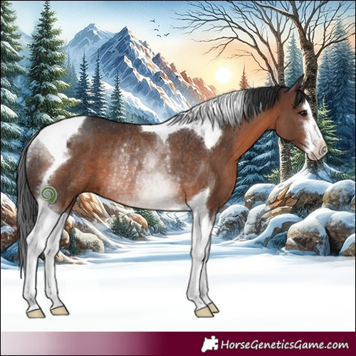 Horse Color:White Spotted Brown Tobiano Rabicano