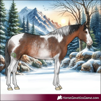 Horse Color:White Spotted Brown Tobiano Rabicano