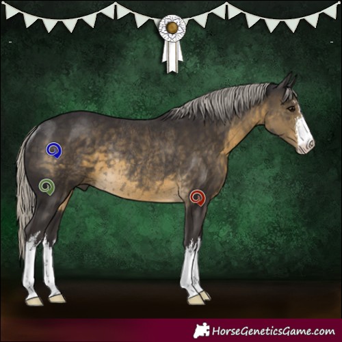 Horse Color:White Spotted Silver Smoky Black Rabicano 