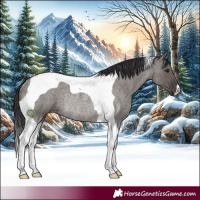 Horse Color:Smoky Grullo Roan Tobiano Rabicano