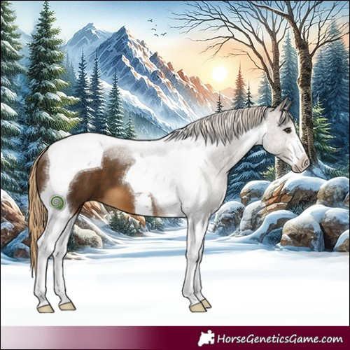 Horse Color:White Spotted Chocolate Palomino Tobiano 
