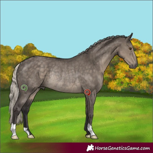 Horse Color:Silver Smoky Grullo Rabicano 