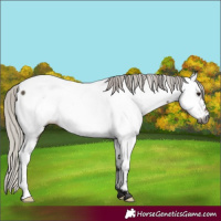 Horse Color:Gray Silver Brown Dun Fewspot