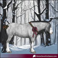 Horse Color:White Spotted Blue Roan 