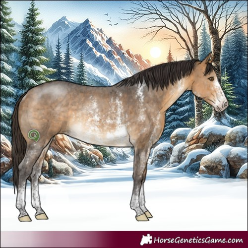Horse Color:Buckskin Sabino Rabicano 