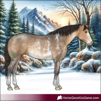 Horse Color:Buckskin Sabino Rabicano 