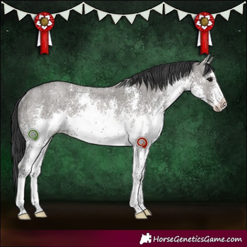Horse Color:White Spotted Grullo Sabino Rabicano 