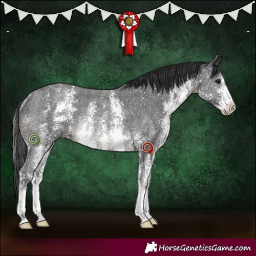 Horse Color:Black Sabino Rabicano 