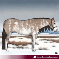 Horse Color:Liver Red Dun Sabino Rabicano 