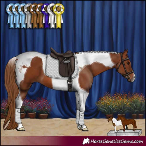 Horse Color:Chestnut Tobiano 