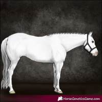 Horse Color:Brown Sabino 