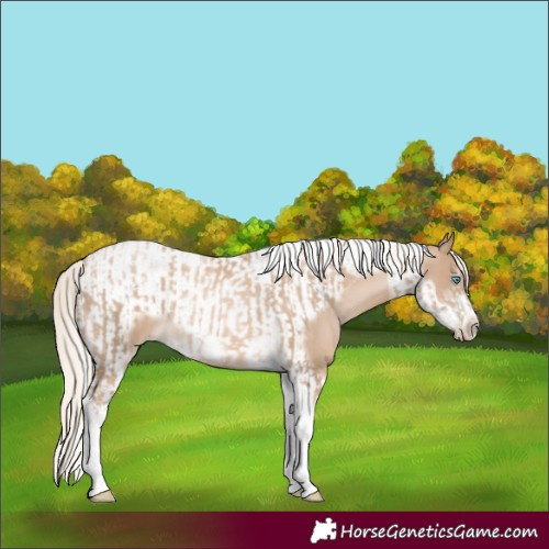 Horse Color:Chocolate Palomino Pearl Tobiano Frame and Chocolate Palomino Pearl Tobiano Frame