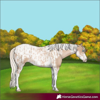 Horse Color:Chocolate Palomino Pearl Tobiano Frame  and Chocolate Palomino Pearl Tobiano Frame 