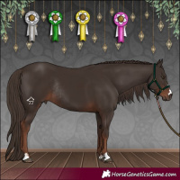 Horse Color:Liver Chestnut Rabicano 
