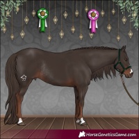 Horse Color:Liver Chestnut Rabicano 