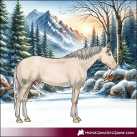 Horse Color:Silver Buckskin Pearl Dun 