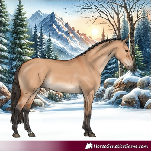 Horse Color:Bay Dun