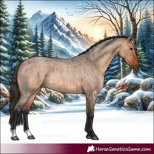 Horse Color:Bay Roan Dun Rabicano