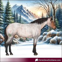 Horse Color:Bay Roan Rabicano