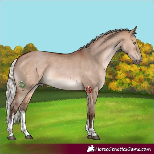 Horse Color:White Spotted Silver Brown Dun 