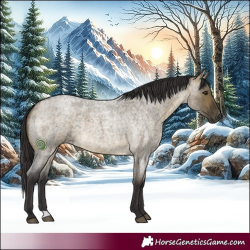 Horse Color:Buckskin Roan Dun 