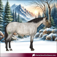 Horse Color:Buckskin Roan Dun
