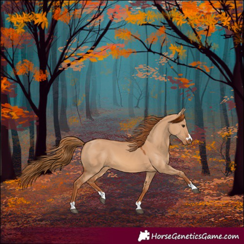 Horse Color:Red Dun 