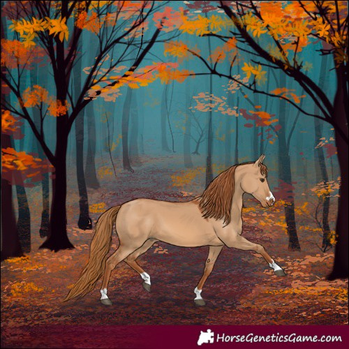 Horse Color:Red Dun 