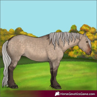 Horse Color:Silver Brown Dun 