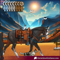 Horse Color:Brown  and Brown Sabino 