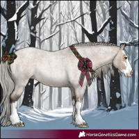 Horse Color:White Spotted Silver Brown Roan Dun Rabicano