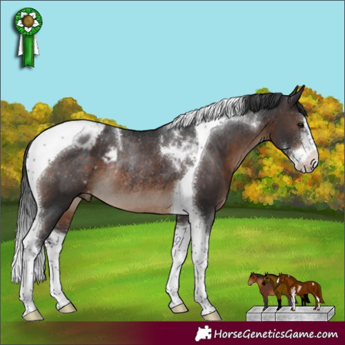 Horse Color:Brown Sabino Tobiano Varnish Rabicano 