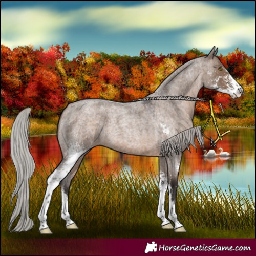 Horse Color:Silver Brown Roan Dun Sabino 