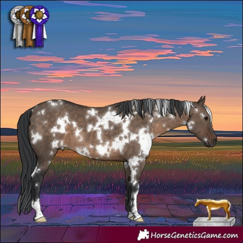 Horse Color:White Spotted Brown Dun 