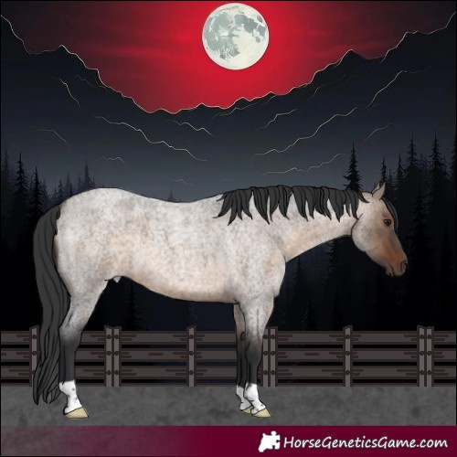 Horse Color:Brown Roan Dun 