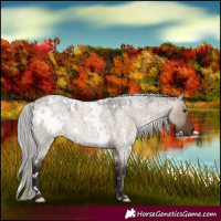 Horse Color:White Spotted Silver Brown Roan Dun 