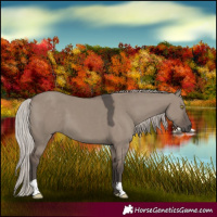Horse Color:Silver Grullo 