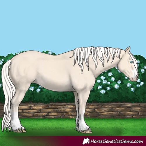 Horse Color:Cremello 