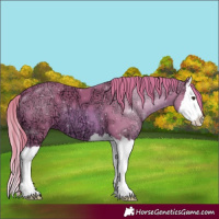 Horse Color:Watercolor Chestnut Ice Splash