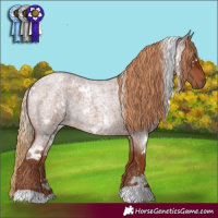 Horse Color:White Spotted Red Roan 